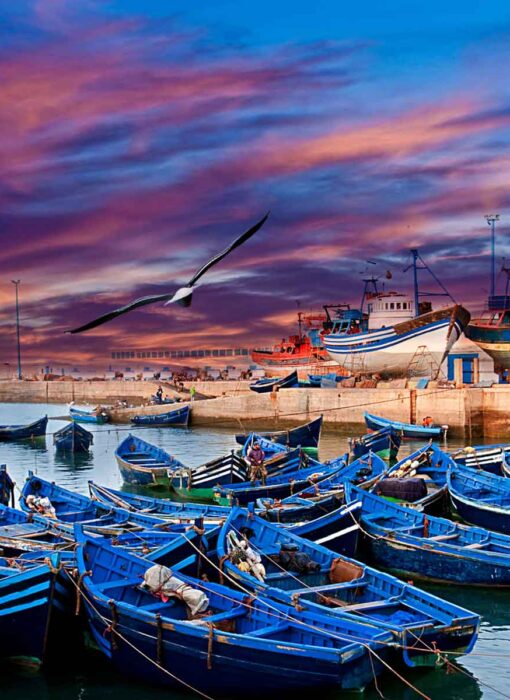 Essaouira trip cheap price